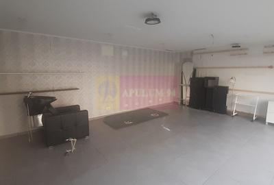 Spatiu Comercial Stradal Șoseaua Colentina zona Teiul Doamnei Suveica - 56
