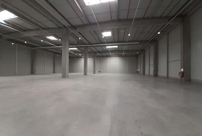 Bd. Th. Pallady - ISU - comision 0 - finalizare Q2 2027 - 2