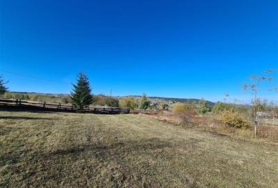 Teren Intravilan,Autorizatie de Construire,4483 mp, situat in Marisel! - 5