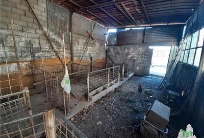 Teren 4000 mp + casa demolabila in Bragadiru/Varteju (Magurele) - 13