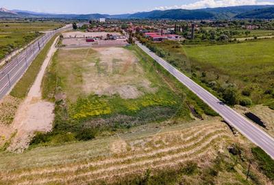 Teren intravilan Ilia, jud. Hunedoara - 6