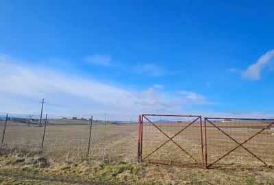 Teren intravilan - Halchiu, construire locuinte individuale - 7