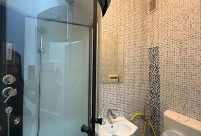 Garsonieră de închiriat, 14 mp, Horea zona UBB - 9