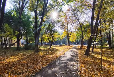 Apartament 2 camere, Copou | langa Gaudemus si Universitate - 1