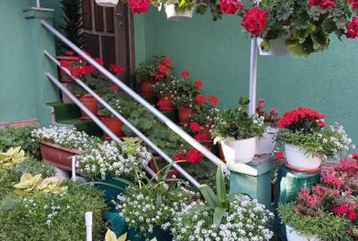 Vand casa in centrul orasului Bistrita - 4