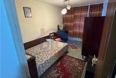 APARTAMENT 2 CAM, DRISTOR BABA NOVAC - 7
