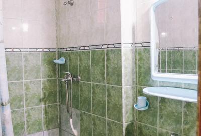 Casă de vacanță cu teren de 802 mp, Boița - Lotrioara, Sibiu - 17