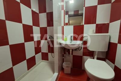 Spatiu de vanzare in Valea Macesului judel Valcea iesire la Lotru - 18