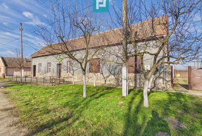 Spațiu comercial de 225 mp în Satu Mare - 2