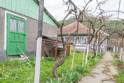 Acasă nu e un apartament. E pe Pietrosu nr. 8, în Zemeș. - 2