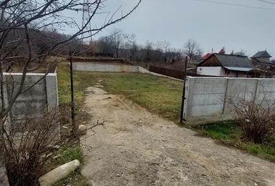 TEREN PENTRU CASA 1647 MP IN  BORZESTI - ONESTI - 4