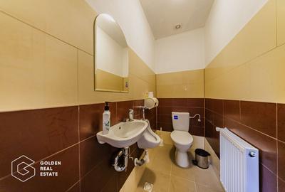 Proprietate pretabila pentru afacere, Cladova - 12