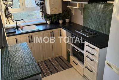 Apartament 2 camere Craiovei, renovat total, mobilat/utilat - 2