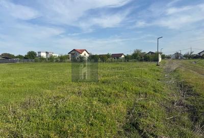 Teren intravilan 953 mp – comuna Tunari, sat Dimieni | judetul Ilfov - 3