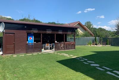 Vila Balotești lac pădure - 6