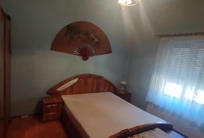 Apart la casa Bogdanestilor  curte  acces cu masina centrala proprie - 6