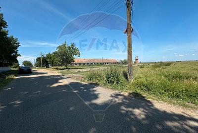 Teren 11404 m2 , Biharia la 1km de autostrada A3 si 300m de centura - 3