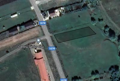 Teren intravilan 1800mp Salicea, 75e/mp - 1