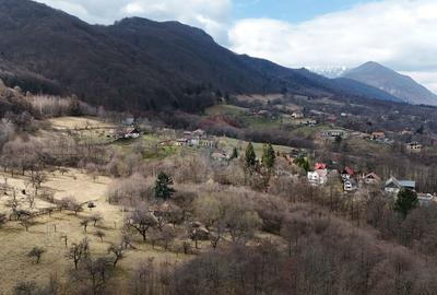 10.51 Euro + TVA / mp: Teren Bran Predelut, 24.253 mp, intravilan - 2