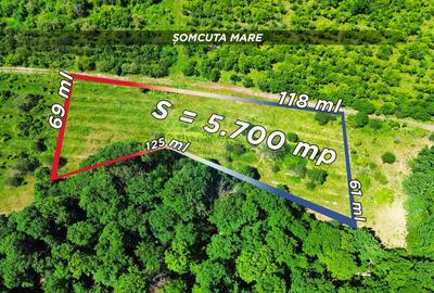 Teren 5,700mp Somcuta Mare / investitie cu potential major - 3
