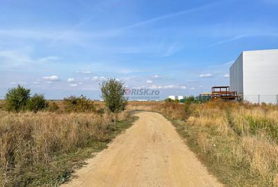 TEREN Dezv Logistica 2500mp posib extindere Centura CHITILA Rudeni - 3