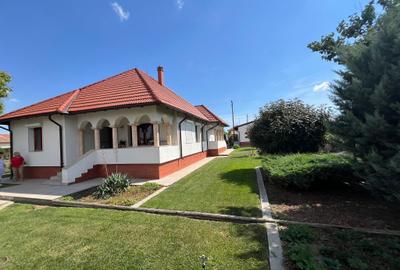 Casa 'din vis' frumoasa ,cocheta, la sol, caramida, 2014, 980 mp teren, M.Kogaln - 13