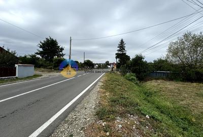 Teren intravilan 6222 mp Bodestii de Jos, 52 m latime la strada