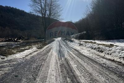 Teren 1,340mp Cuejdiu / Strada Cuejdiului - 5