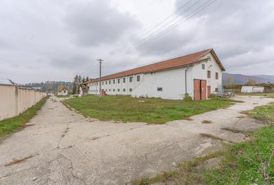 Hala de depozitare si productie - Teliu, Jud. Brasov - 16