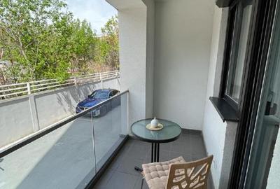 Inchiriere Apartament 2 Camere zona Mihai Bravu - 15