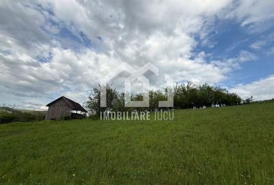 Teren intravilan construibil – 2.100 mp | Căianu - 5