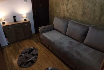 Apartament 2 camere Vasile Aaron - 3
