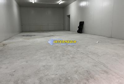 HALA DE INCHIRIAT I 2100 MP I ALBA IULIA I ZONA CENTRU I - 14
