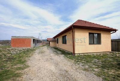 Casa de vanzare in Picleu cu teren de 1266 mp, comuna Brusturi, Bihor - 13