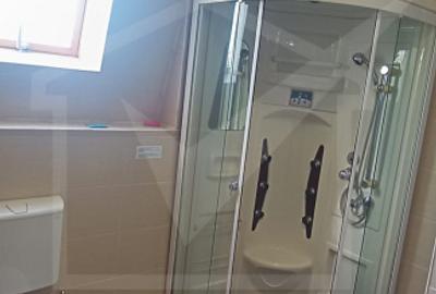 Apartament 1 camera de inchiriat, parcare, Borhanci - 4