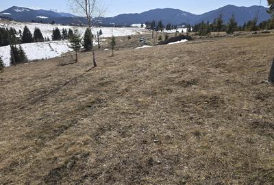 Teren intravilan 1500 mp – Zonă deosebită, Piatra Fântânele - 3