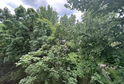 3 camere Drumul Taberei | Valea Oltului | Boxă proprietate inclusă - 26