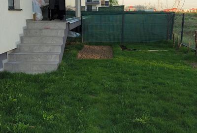 Apartament 4 camere cu gradina proprie de vanzare – Dobroesti - 19