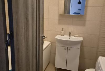 Apartament 2 camere tip studio de inchiriat/Studio for rent, Rosu, Weiner Palada - 2