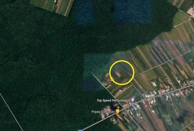 Vanzare teren Bolintin Vale / Malu Spart / 1.000 mp / langa padure / proiect - 1