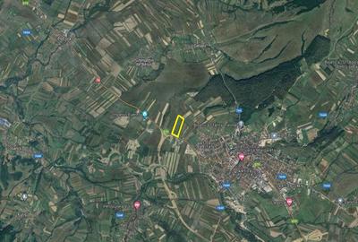 Teren extravilan - construcții, suprafață 49.933 mp, drumul E79, Beiuș - 3