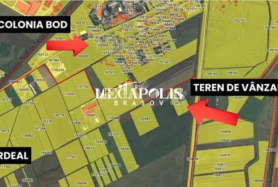 Parcele pentru Gradini / Relaxare / Constructii Usoare - 1