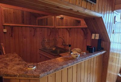 DECEBAL-PIATA MUNCII-METROU,VILA 400 MP,SUPERBA,745000 EURO - 12