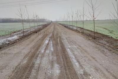 Teren 5000 mp,deschidere 50m Bine Pozitionat Cazasu, 25E mp - 2