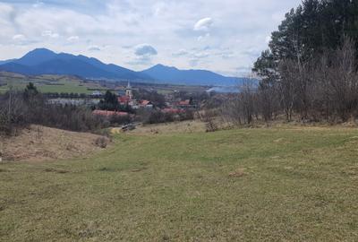 Teren Tarlungeni pretabil investitie 3,5 euro/mp - 1