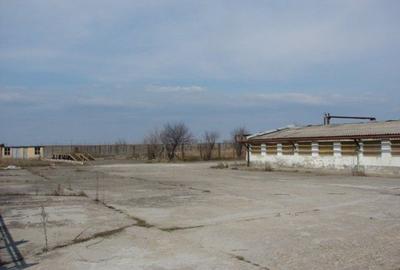 Hala pt depozitare 600 si 1200mp in Remetea Mare! Acces TIR - la sosea - 10