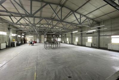 Spațiu industrial, 1000 mp în Odăi