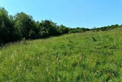 Teren extravilan 8.008 mp, HUNEDOARA, HASDAT - 5