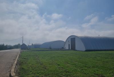 Industrial PARK for Sale – 4 Warehouses with Land, Near Bucharest (INTRAVILAN) - 12