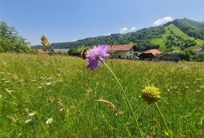 FILM!View superb catre munti,teren pretabil constructie Hotel,4.400 mp, Moieciu - 18